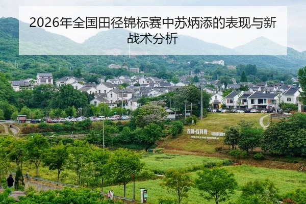 nian-quan-guo-tian-jing-jin-biao-sai-zhong-su-bing-tian-de-biao-xian-yu-xin-zhan-shu-fen-xi-2-775.jpg