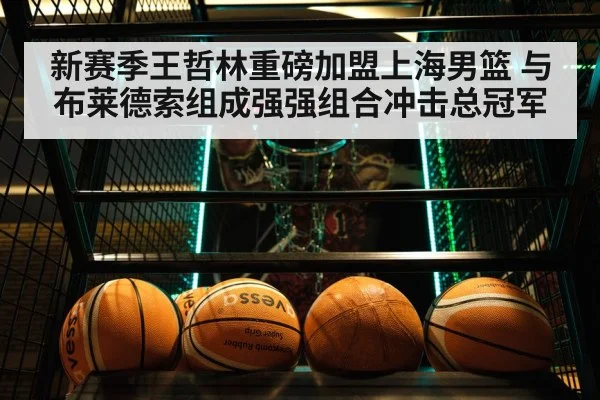 新赛季王哲林重磅加盟上海男篮 与布莱德索组成强强组合冲击总冠军